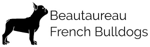 Beautaureau French Bulldogs
